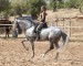 September2horses040